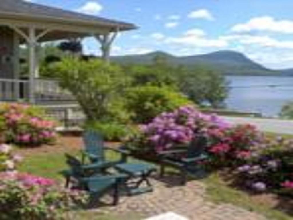 Willoughvale Inn Westmore Newport Buitenkant foto