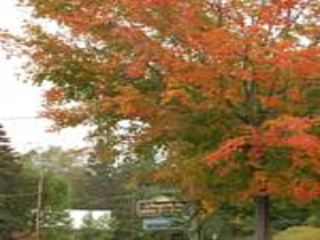 Willoughvale Inn Westmore Newport Buitenkant foto